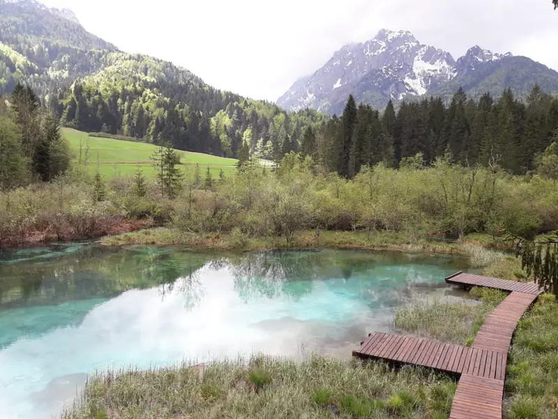 slovenija: prirodni rezervat zelenci