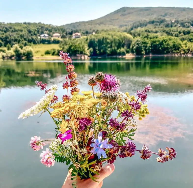 Borsko jezero: Gde vazduh miriše na borove