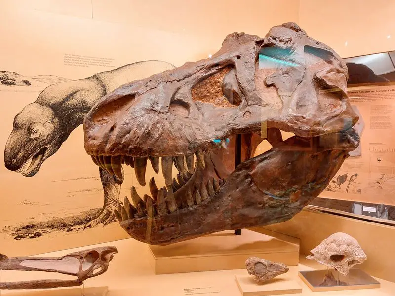 minhen: muzej coveka i prirode dinosaurusi