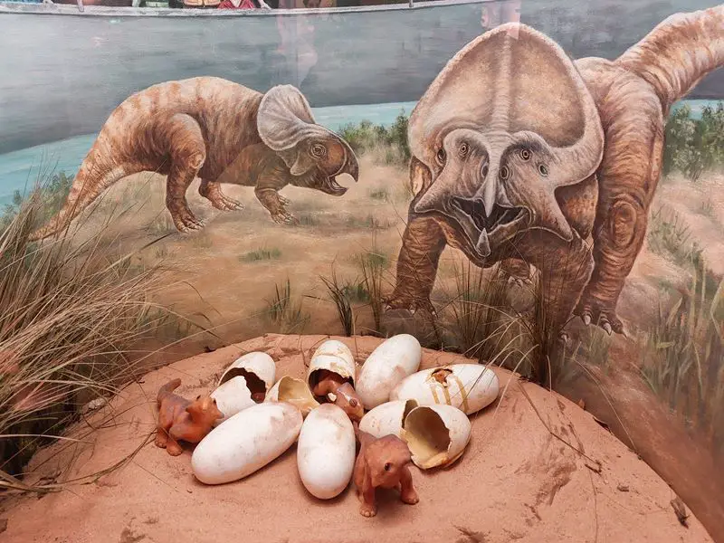 minhen: muzej coveka i prirode dinosaurusi