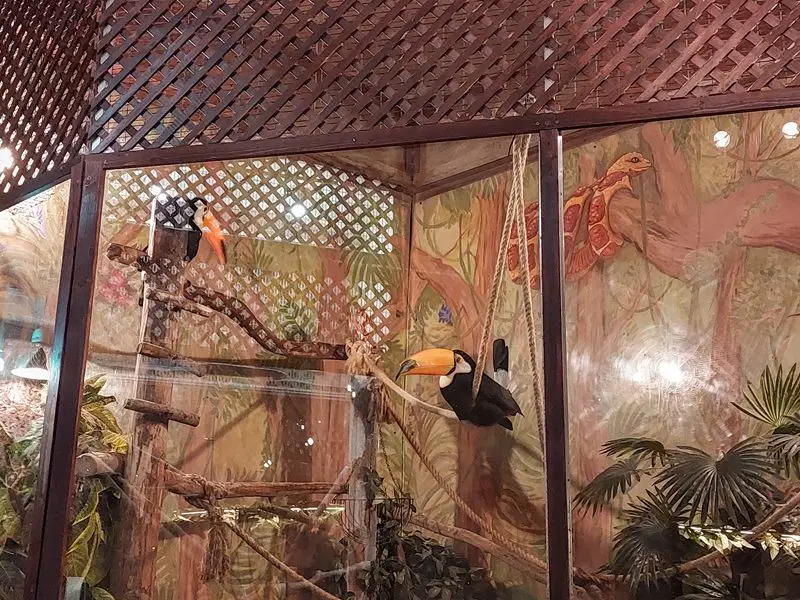 budimpesta: zoo cafe papagaji