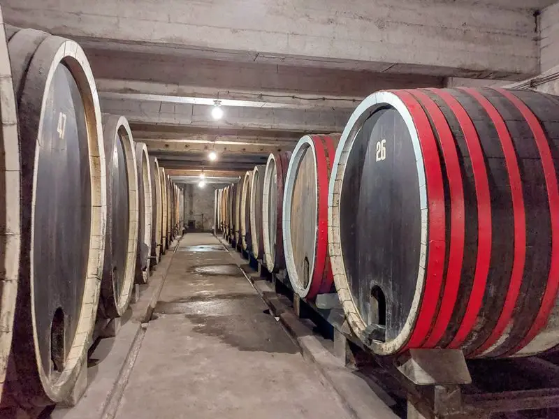 topola: kraljeva vinarija vinski podrum