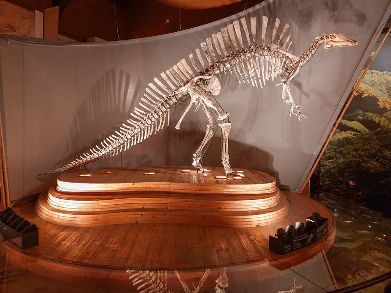 venecija: prirodnjacki muzej dinosaurusi