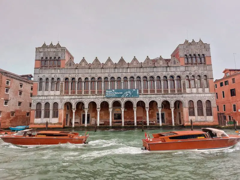 venecija: prirodnjacki muzej