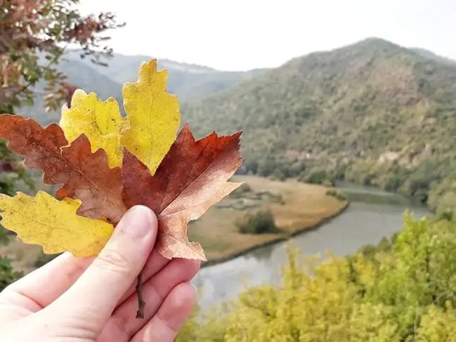 Uživajte u jeseni i bojama prirode “male srpske Svete Gore” i uklještenih meandara.
